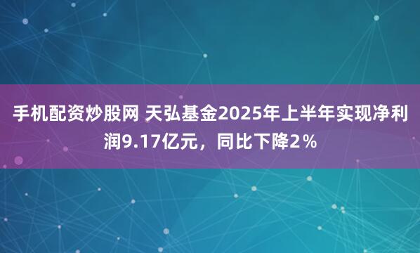手机配资炒股网 天弘基金2025年上半年实现净利润9.17亿元，同比下降2％